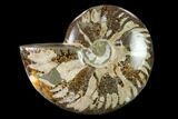 Wide Polished Fossil Ammonite Dish - Madagascar #137402-2